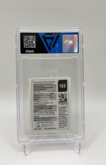 2010 VG 7 Panini Lionel Messi Gray Back sticker