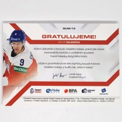 David Sklenička 2021/22 MK Národní tým Game used stick PROMO blue