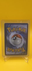 2025 Pokémon N´s Zoroark EX 205/162