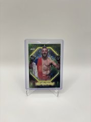 Jiří Procházka UFC 046/126 Topps