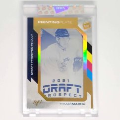 Tomáš Machů The Gamers 2022 base Printing Plate (Cyan) 1/1