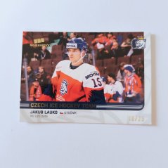Jakub Lauko 2018/19 MK Národní tým GOLD 18/25