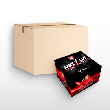 Czech National Football Team Cases