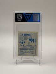 1990/91 VG 8 Vallardi CPA/BTRN/MRDN/CPA Sticker