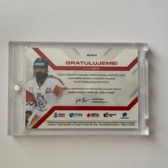 Milan Gulaš 2021/22 MK Národní tým Game Used Memorabilia RED 16/40