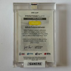 Adam Polášek The Gamers 2022 base Printing Plate (Yellow) 1/1