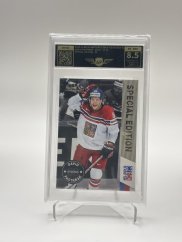2015/16 AP 8.5 MK Czech Ice Hockey Team David Pastrňák-Gold-21/50 #36 (240723)