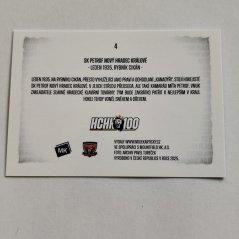 SK Petrof Nový Hradec Králové 2025 MK 100 let na soutoku PUZZLE 4