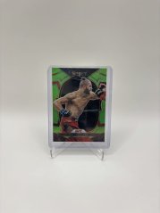 Jiří Procházka UFC 39/75 Panini