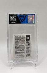 2010 VG 7 Panini Lionel Messi Gray Back sticker