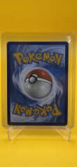 2023 Pokémon Skeledirge ex 250/193