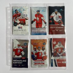Binder Page for 6 Packs / Blasters - 11-Hole - 1 pc